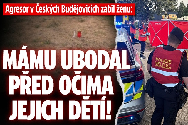 Banner ke žhavému tématu: Agresor v Budějovicích ubodal mámu před ...