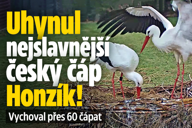 Banner ke žhavému tématu: Uhynul nejslavnější čáp v Česku! ...