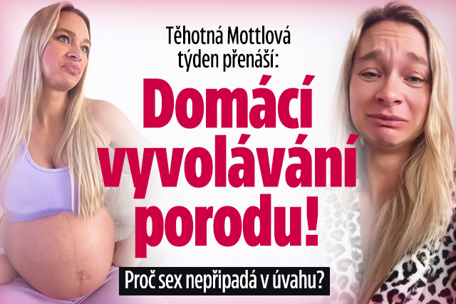 Banner ke žhavému tématu: Těhotná Mottlová týden přenáší: Domácí ...