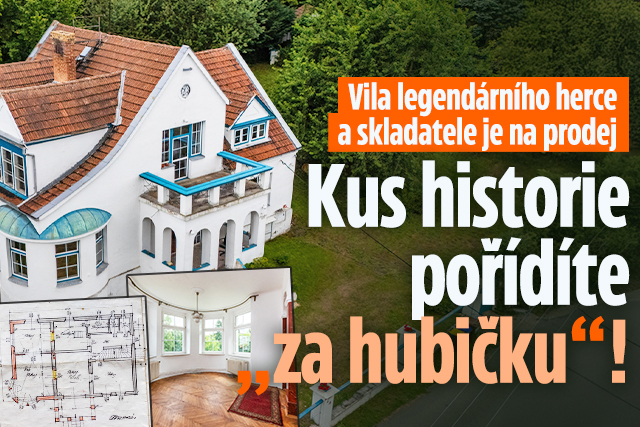 Banner ke žhavému tématu: Vila legendárního herce na prodej: Kus ...