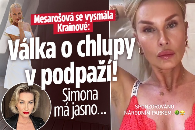 Banner ke žhavému tématu: Mesarošová se vysmála podpaží Krainové. ...