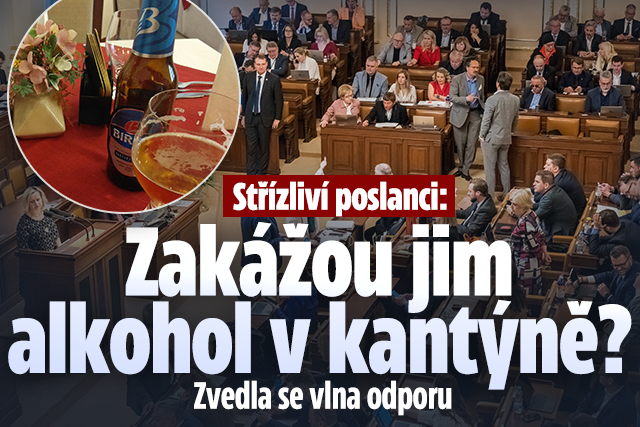 Banner ke žhavému tématu: Střízlivá Sněmovna: Zakážou poslancům ...