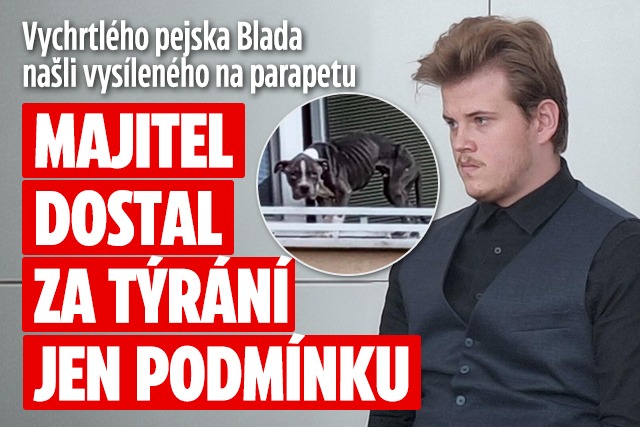 Banner ke žhavému tématu: Za týrání pejska Blada z parapetu padl ...
