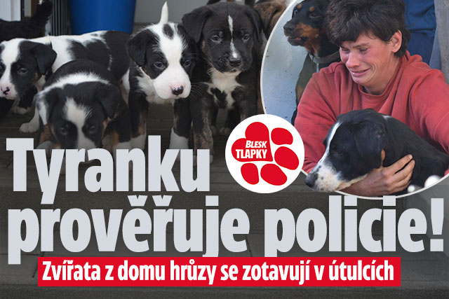 Banner ke žhavému tématu: Zvířata z domu hrůzy se zotavují. ...