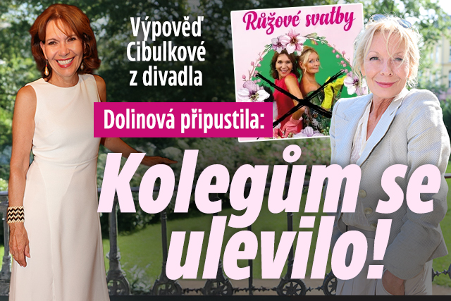 Banner ke žhavému tématu: Dolinová po výpovědi Cibulkové: Kolegům ...