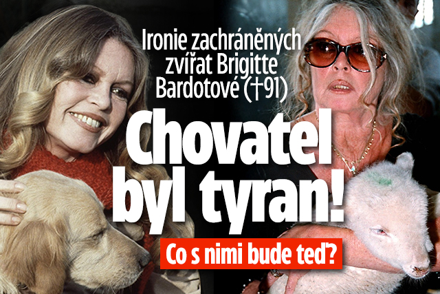 Banner ke žhavému tématu: Ironie zachráněných zvířat Brigitte ...
