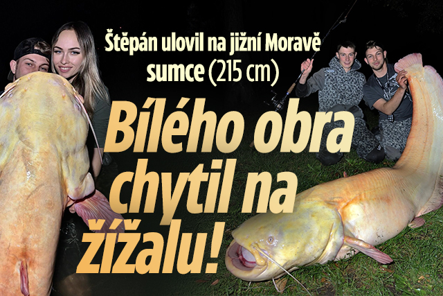 Banner ke žhavému tématu: Štěpán (25) ulovil sumce albína: Obra ...