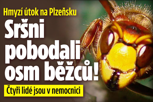 Banner ke žhavému tématu: Brutální útok sršňů na Plzeňsku: ...
