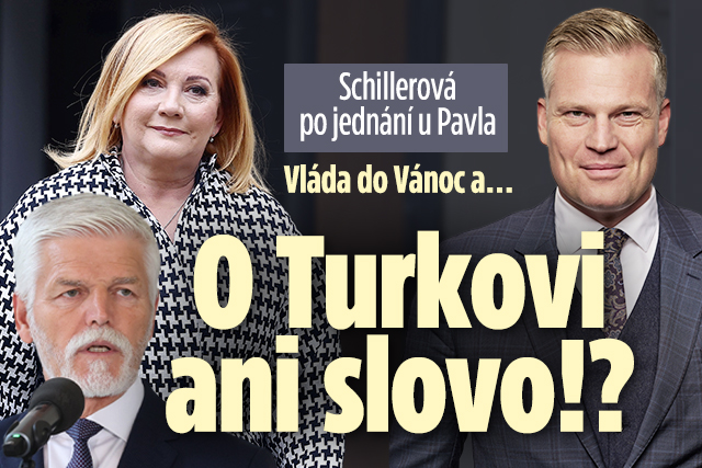 Banner ke žhavému tématu: Schillerová: Vláda bude do Vánoc! A o ...