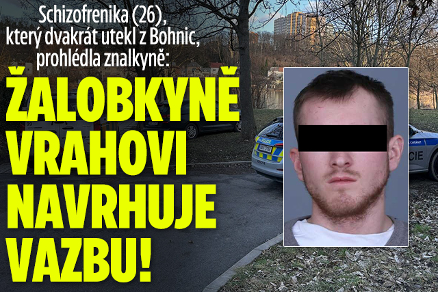 Banner ke žhavému tématu: Vrah (26) dvakrát utekl z Bohnic: ...