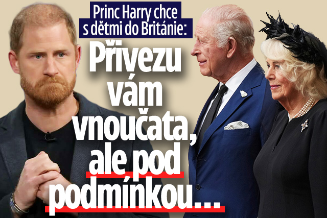 Banner ke žhavému tématu: Harry chce s dětmi do Británie: Přivezu ...