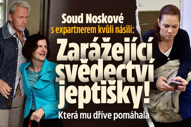 Banner ke žhavému tématu: Soud Noskové kvůli násilí: Zarážející ...