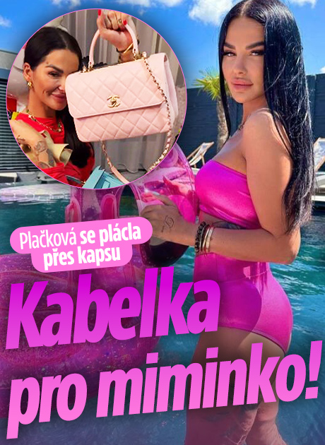 Banner ke žhavému tématu: Plačková se plácla přes kapsu: Kabelka ...