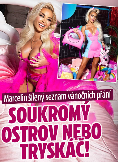 Banner ke žhavému tématu: Marcela odhalila šokujíc vánočních ...