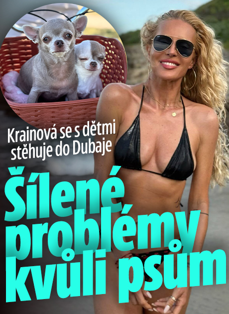 Banner ke žhavému tématu: Krainová se stěhuje do Dubaje: Šílené ...