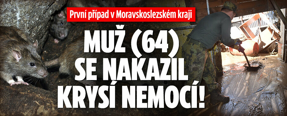 První případ v Moravskoslezském kraji: Muž (64) se nakazil krysí nemocí!