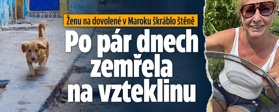 Ženu na dovolené v Maroku škráblo štěně: Po pár dnech zemřela na vzteklinu