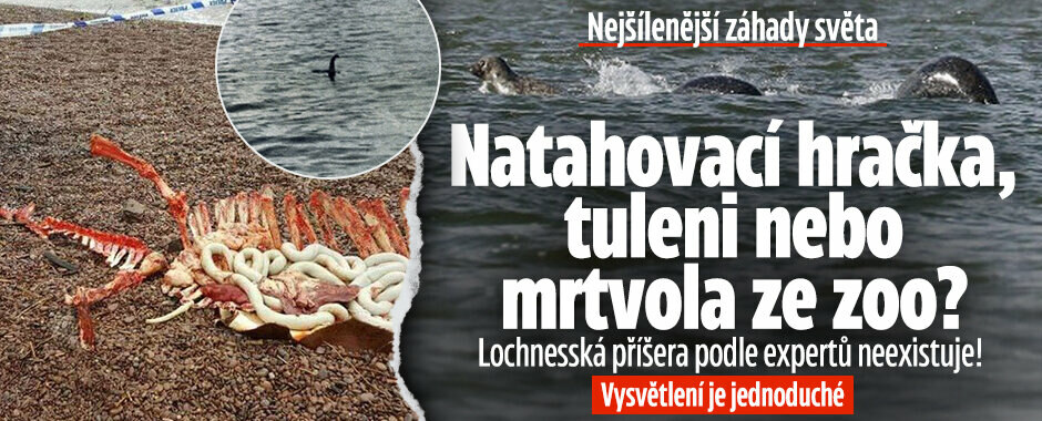 Nejšílenější záhady světa: Natahovací hračka, tuleni nebo mrtvola ze zoo? Lochnesská příšera podle expertů neexistuje, vysvětlení je jednoduché Nejšílenější záhady světa: Natahovací hračka, tuleni nebo mrtvola ze zoo? Lochnesská příšera podle expertů neexistuje, vysvětlení je jednoduché