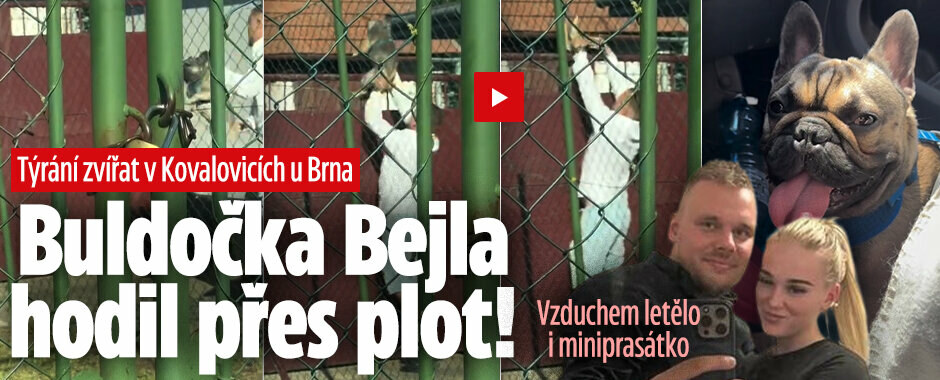 Týrání zvířat v Kovalovicích: Buldočka Bejla hodil přes plot! Vzduchem letělo i prasátko 