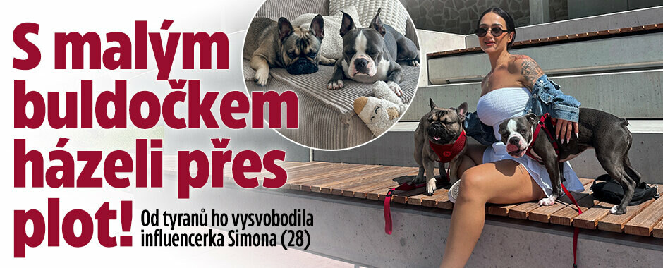 Influencerka Simona (28) zachránila buldočka Baileyho před tyrany: Majitelé s ním hodili přes plot!