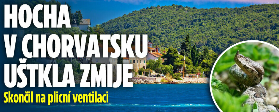Chlapce (7) uštkla na pláži v Istrii zmije: Skončil na plicní ventilaci