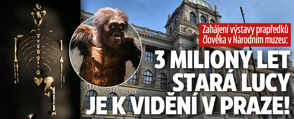 Naprostý unikát v Národním muzeu: Začíná výstava 3 miliony let starých prapředků člověka!