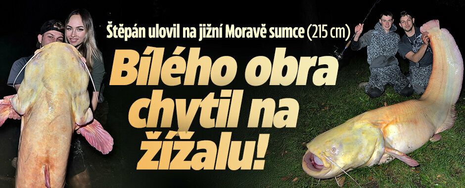 Štěpán (25) ulovil sumce albína: Obra (215 cm) chytil na žížalu