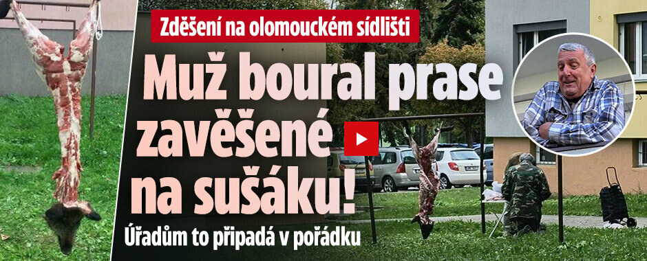 Torzo divočáka mezi paneláky: Muž v Olomouci boural prase zavěšené na sušáku