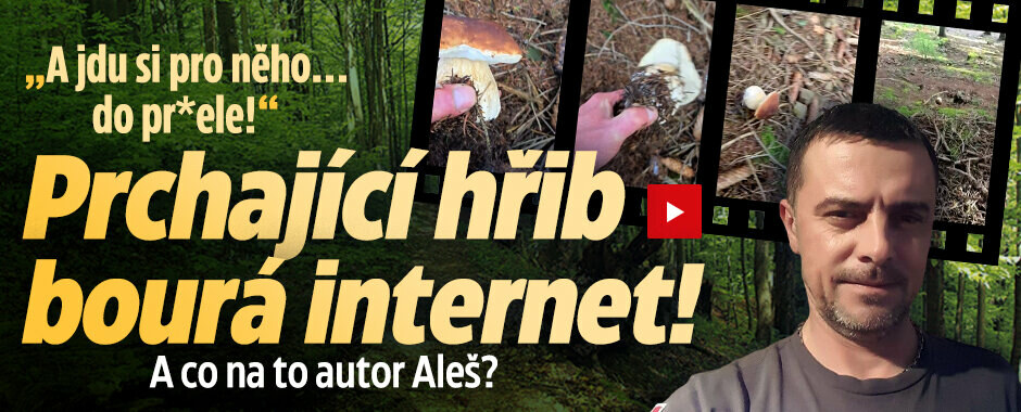 Prchající hřib bourá internet: Mám radost, že se lidé baví, říká autor