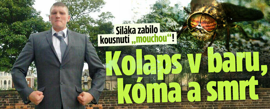 Siláka zabilo kousnutí „mouchou“! Kolaps v baru, kóma a smrt