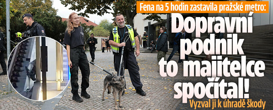 Mrštná fena na pět hodin zastavila pražské metro: DPP to majitelce spočítal, vyzval ji k úhradě škod