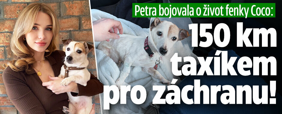 Petra bojovala o život fenky Coco: 150 km taxíkem pro záchranu!