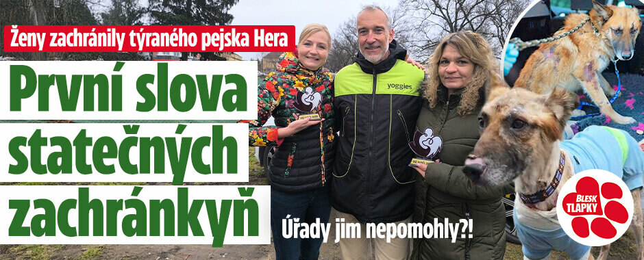 Pejska Hera někdo týral a polil kyselinou, úřady nepomohly: První slova statečných zachránkyň