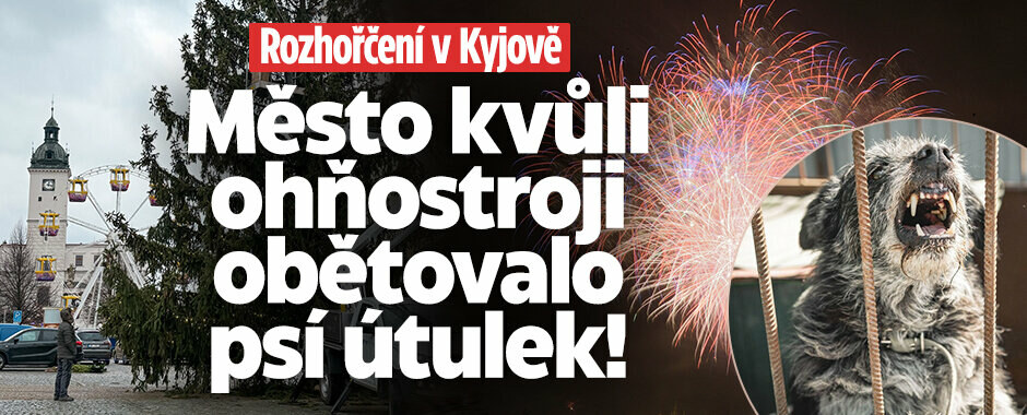 Kvůli ohňostroji zrušili psí stanici: Kyjov obešel nový zákaz pyrotechniky