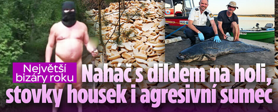 Největší bizáry roku: Naháč s dildem na holi, stovky housek i agresivní sumec