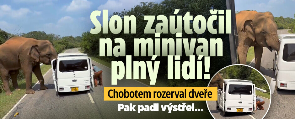 Slon zaútočil na minivan plný lidí: Rozerval dveře a pak... Padl výstřel!