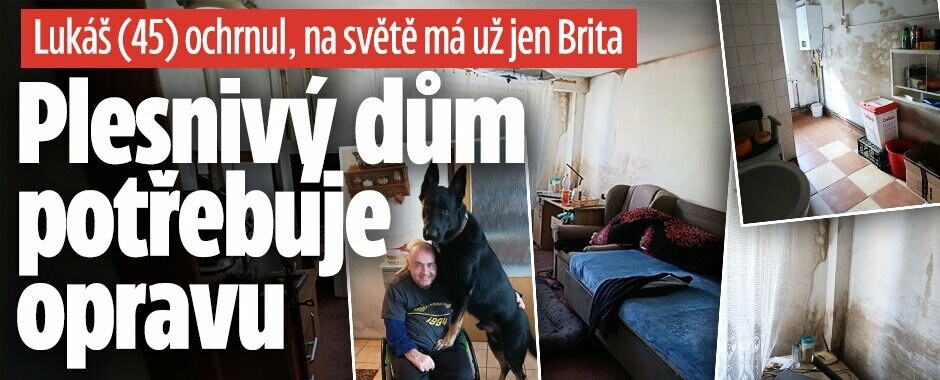 Lukáš ochrnul po nehodě: Na světě má jen Brita, potřebuje pomoci s plesnivým domem