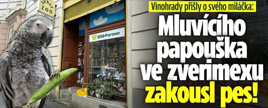 Vinohrady přišly o svého miláčka: Mluvícího papouška ve zverimexu zakousl pes!
