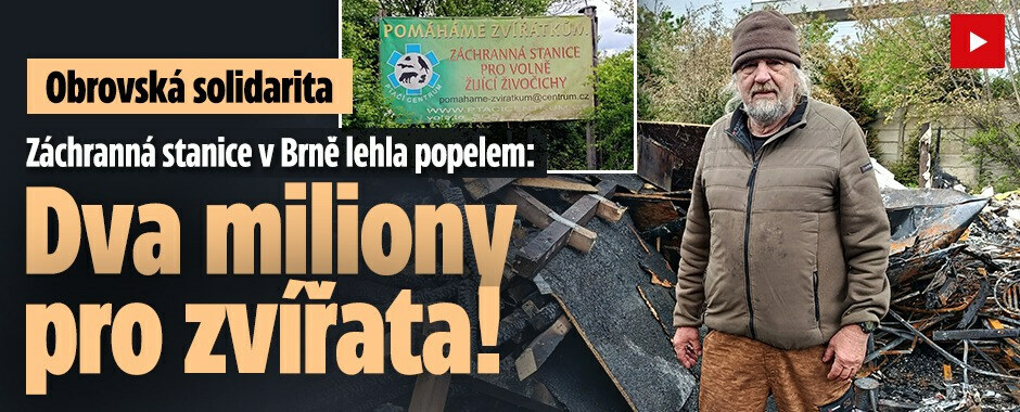 Obrovská solidarita! Záchranná stanice v Brně lehla popelem: Dva miliony pro zvířata!  