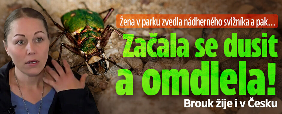 Ženu v parku málem zabil obyčejný brouk: Po doteku zkolabovala
