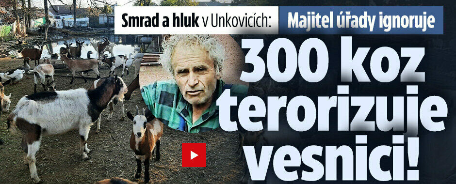 Obří stádo koz terorizuje Unkovice na Brněnsku: Majitel úřady ignoruje