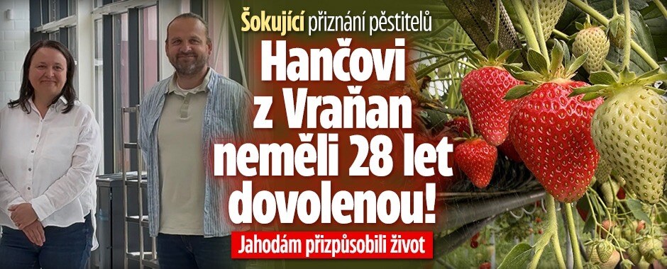 Jahodové království u Mělníka. Hančovi vybudovali farmu snů, za 28 let ale nepoznali dovolenou
