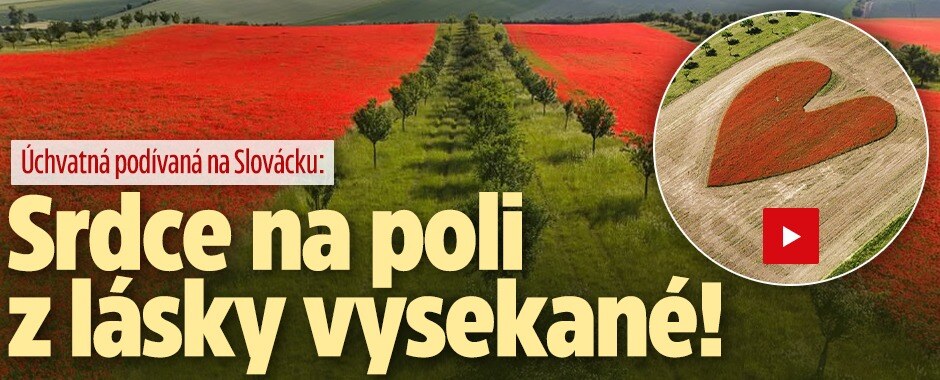 Úchvatná podívaná na Slovácku: Srdce na poli z lásky vysekané!