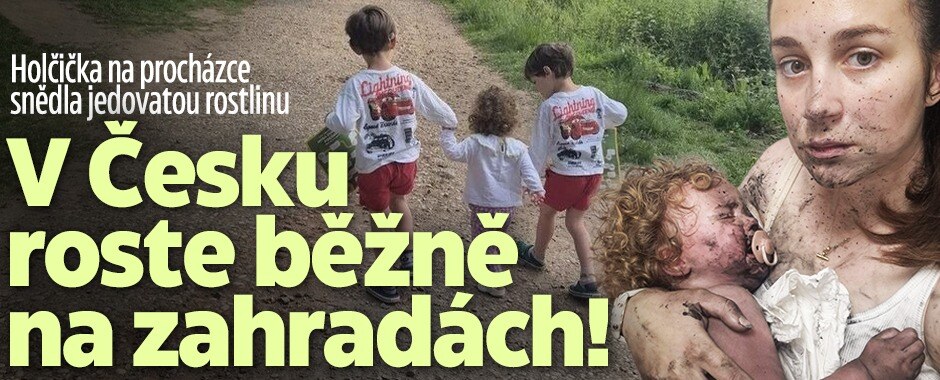 Holčička na procházce snědla jedovatou rostlinu: V Česku roste běžně na zahradách!