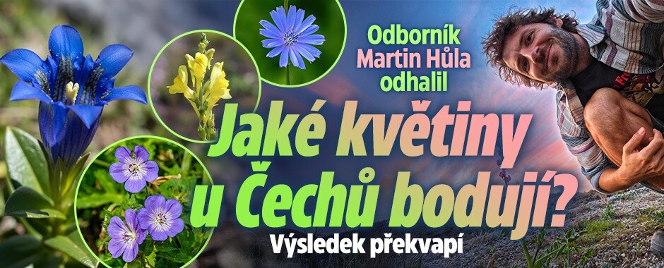 Odborník Martin Hůla odhalil: Jaké květiny u Čechů bodují? Výsledek překvapí