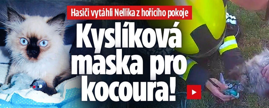 Kyslík pro Nellika: Kocoura z hořícího pokoje zachránili hasiči