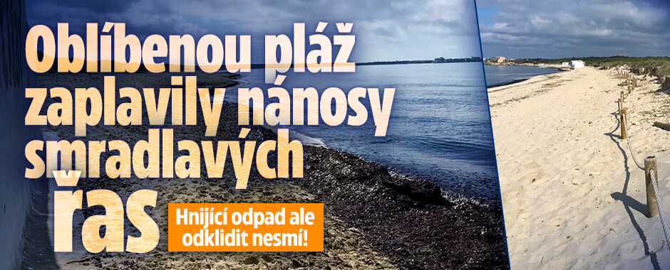 Oblíbenou pláž zaplavily nánosy smradlavých řas: Hnijící odpad ale odklidit nesmí!