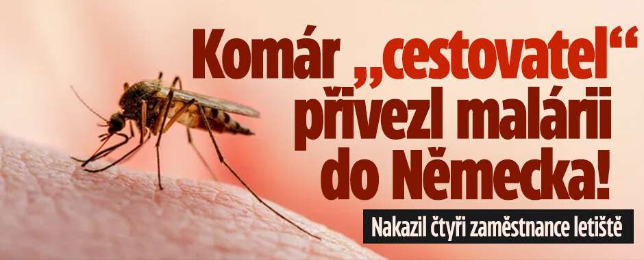 Komár „cestovatel“ přivezl malárii do Německa: Nakazil zaměstnance letiště!