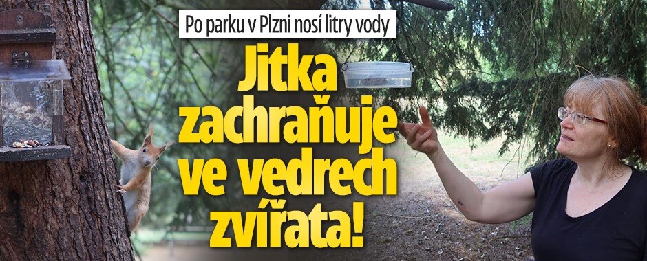 Po parku v Plzni nosí litry vody: Jitka zachraňuje ve vedrech zvířata!