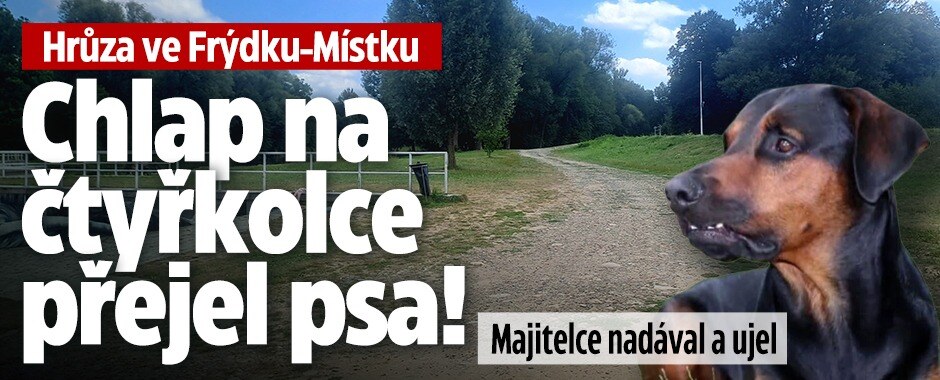 Neuvěřitelná neurvalost: Řidič čtyřkolky přejel psa, sprostě vynadal majitelce a ujel